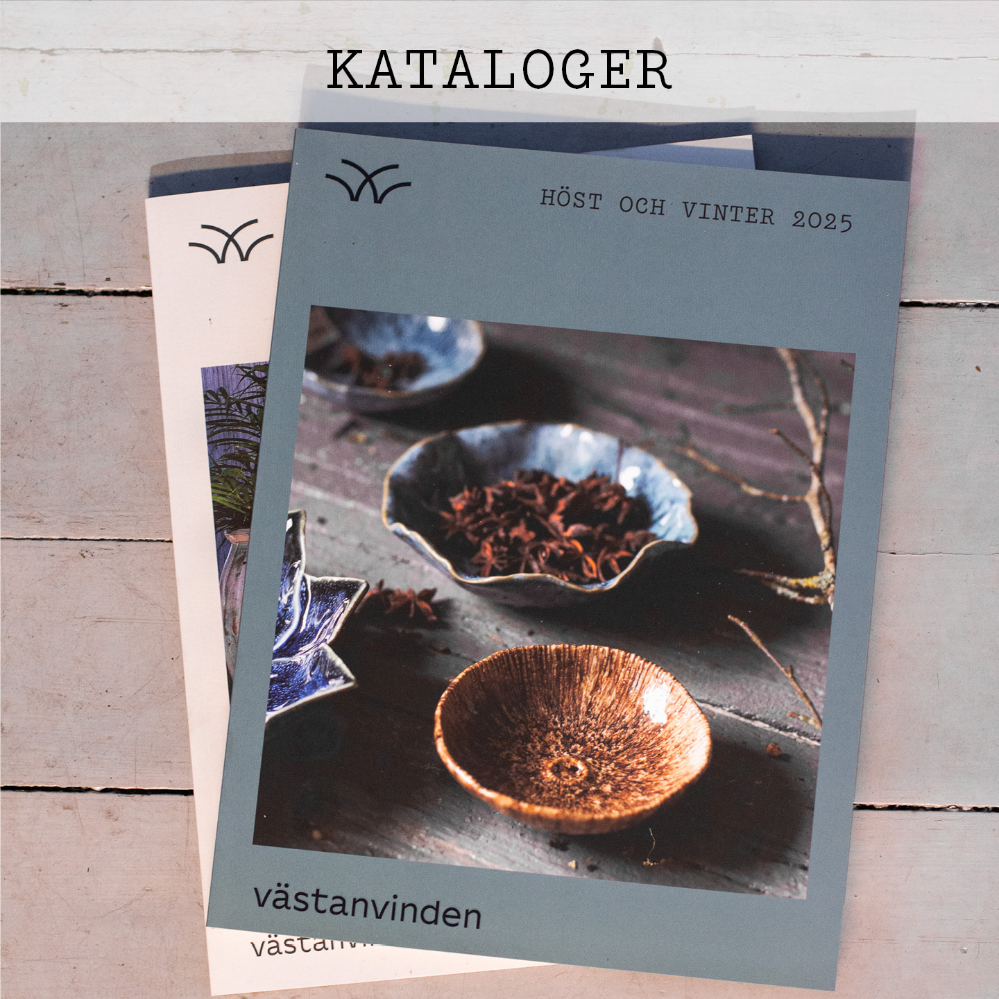 Västanvinden krukor